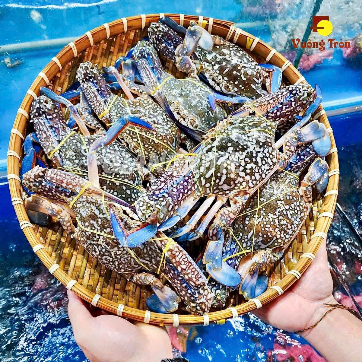 hải sản cơm niêu mũi né