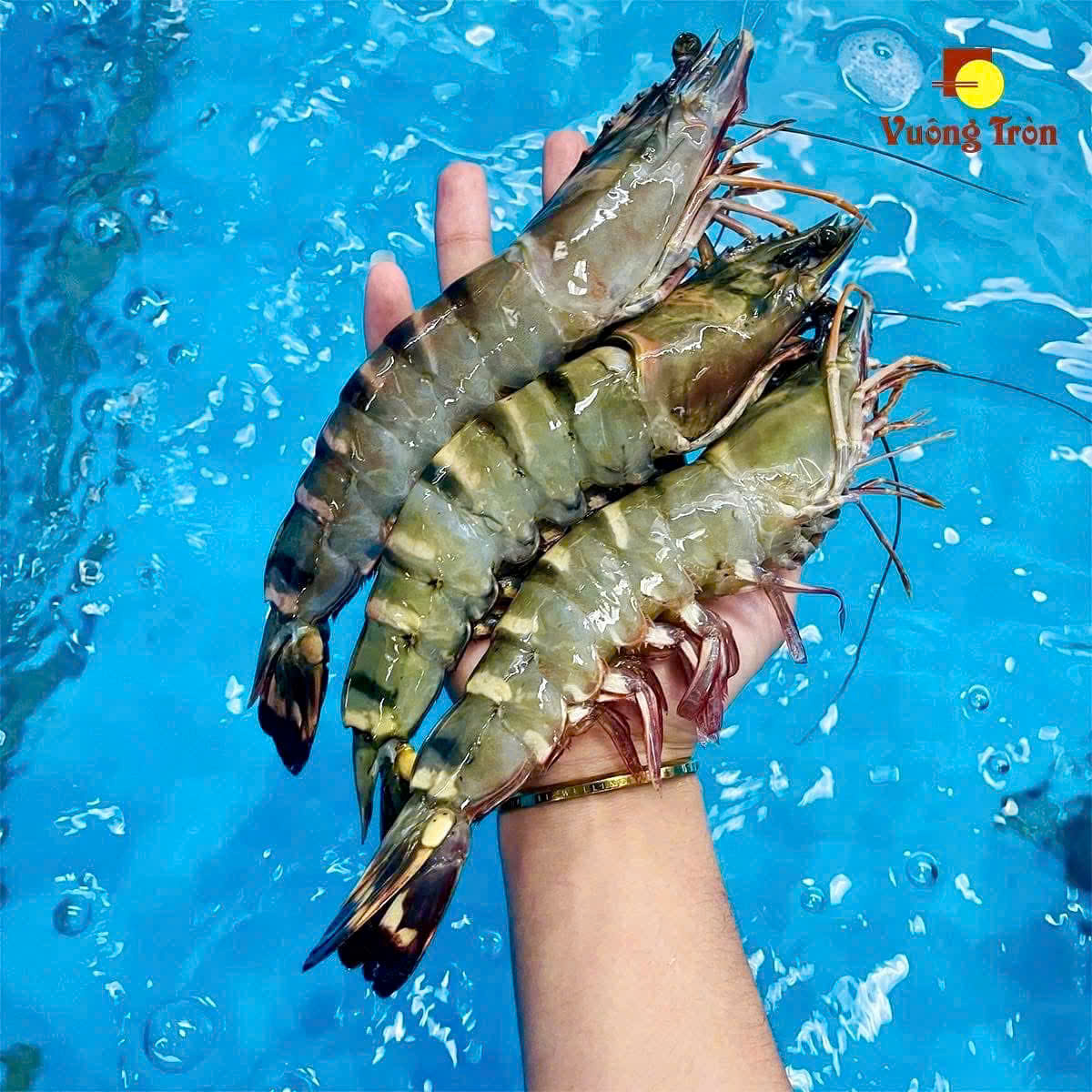 hải sản cơm niêu mũi né